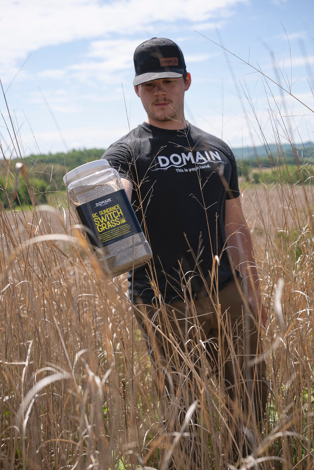 RC Sundance Switchgrass Habitat Seed