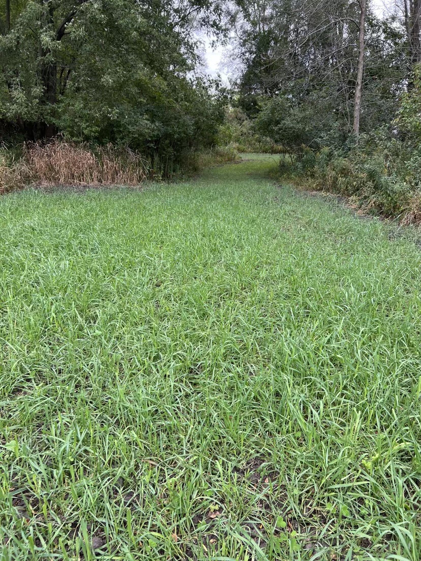 3-Way Grainz Food Plot Seed