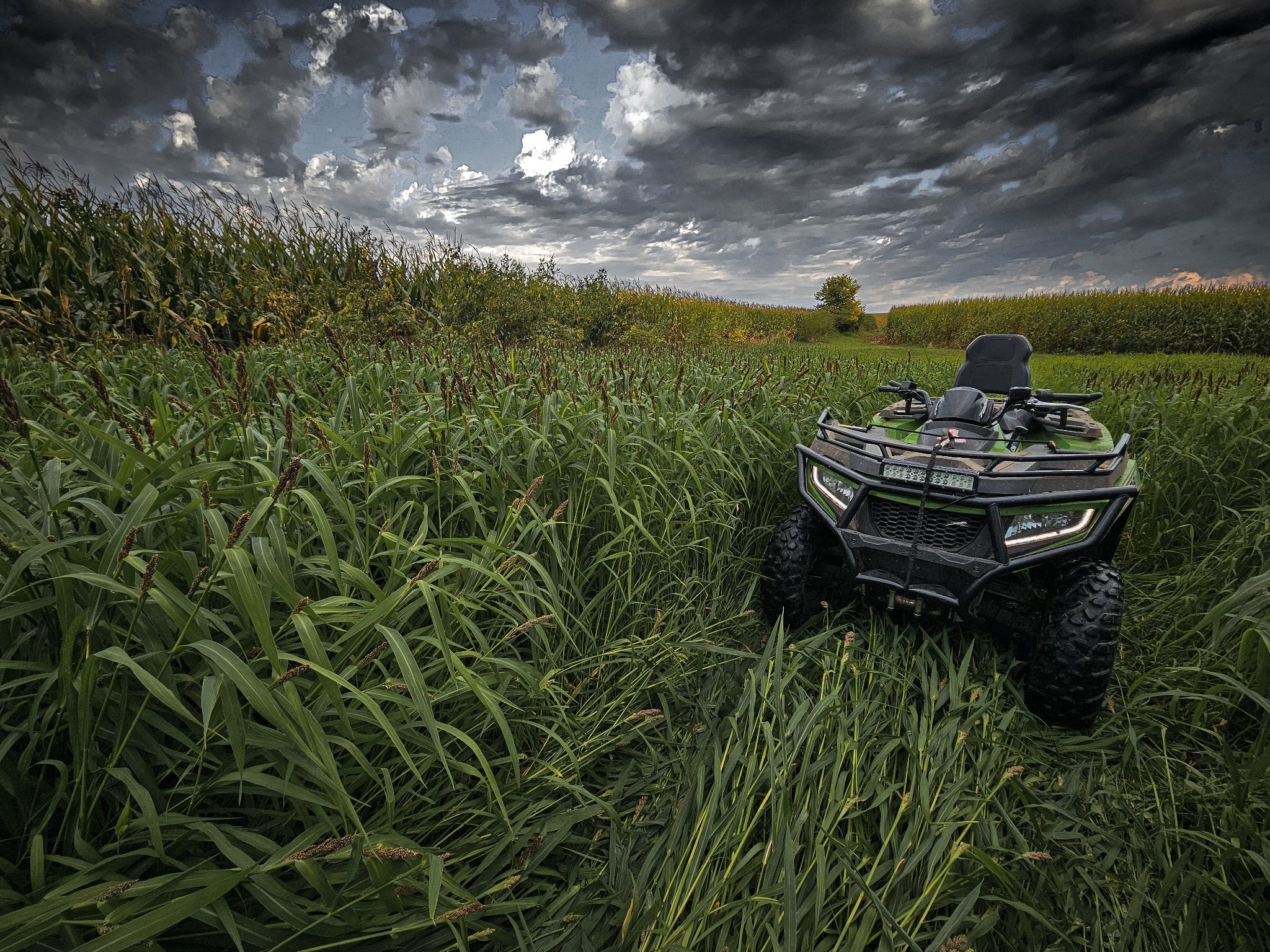 Landing Strip™ Food Plot Seed