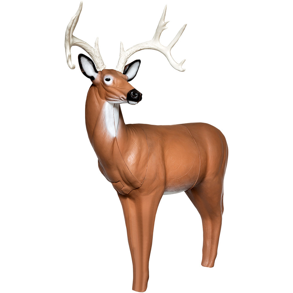 QuivAR Enabled Big Buck