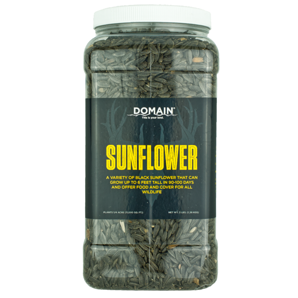 Sunflower Food Plot Seed